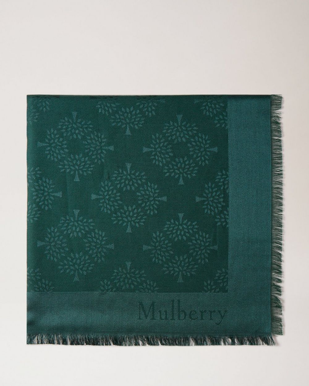 Mulberry | Mulberry Tree Scarf - Mulberry Green Cotton Silk Blend