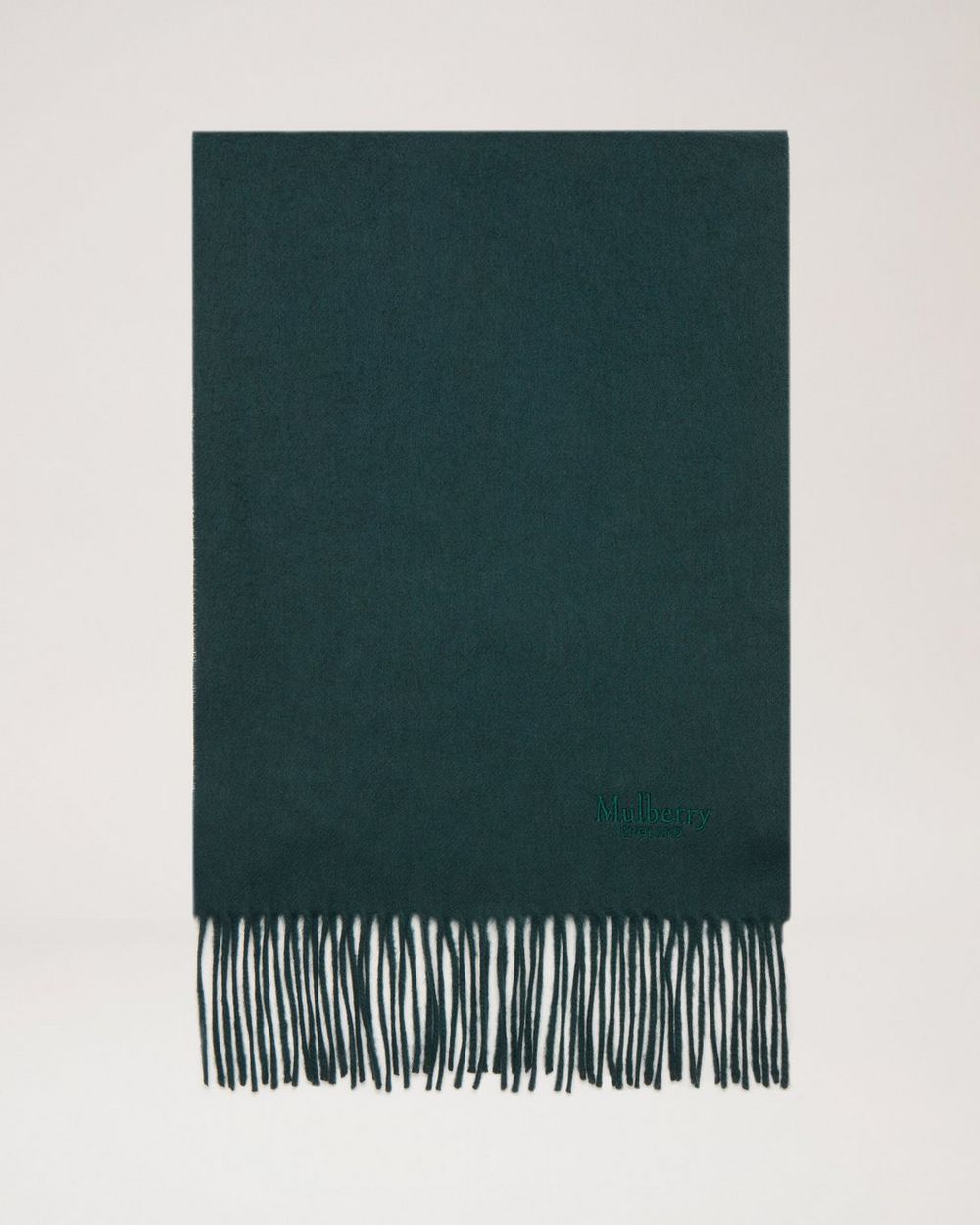 Mulberry | Cashmere Scarf - Mulberry Green Cashmere